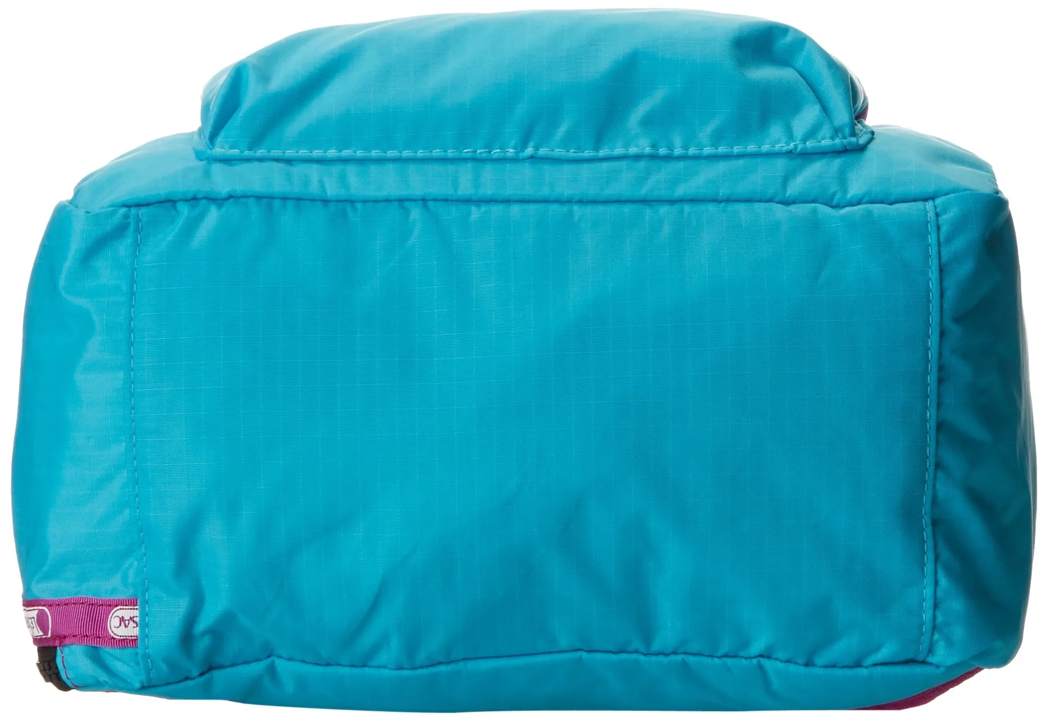 LeSportsac Backside Backpack