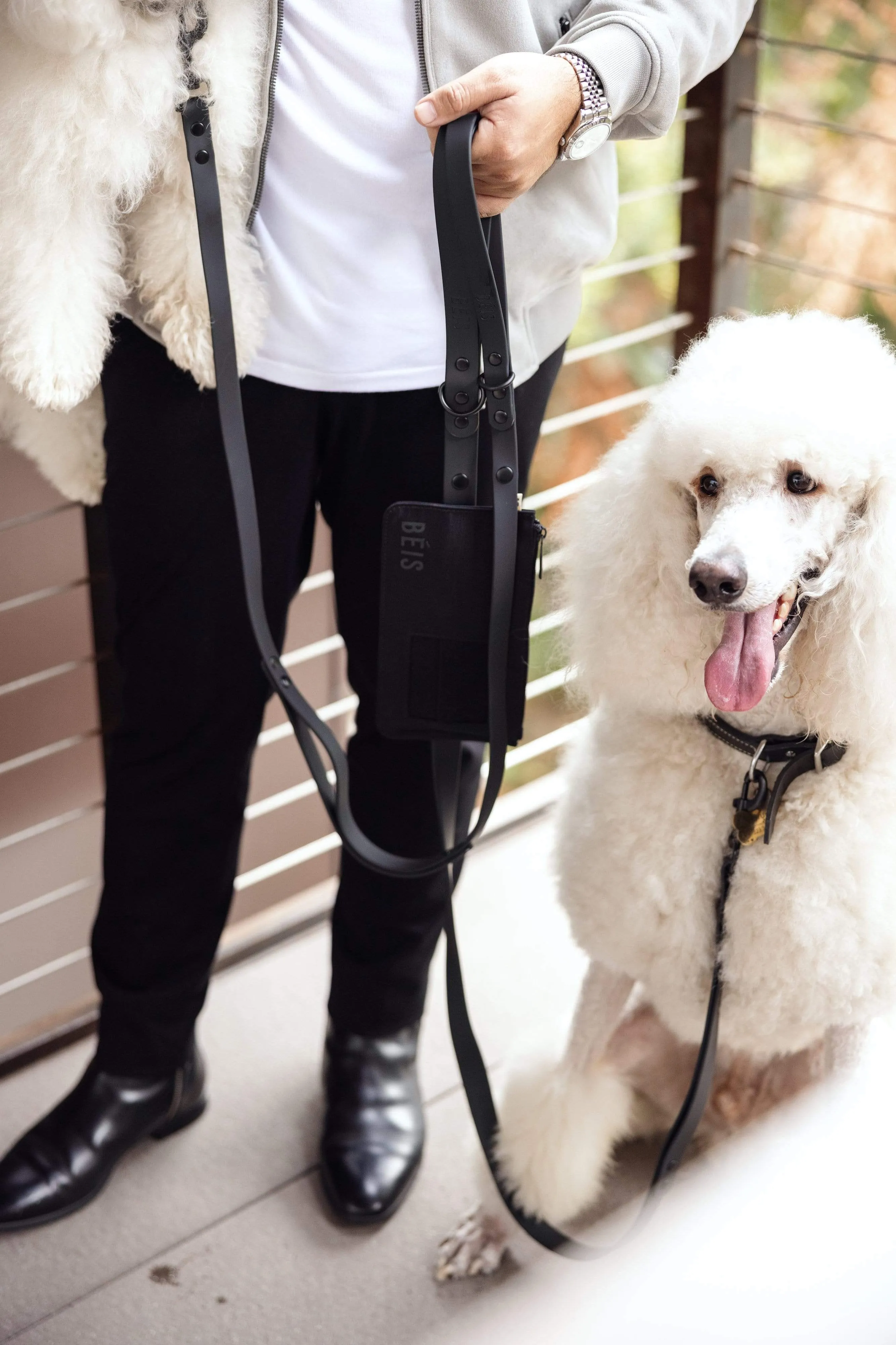 The Pet Leash in M/L