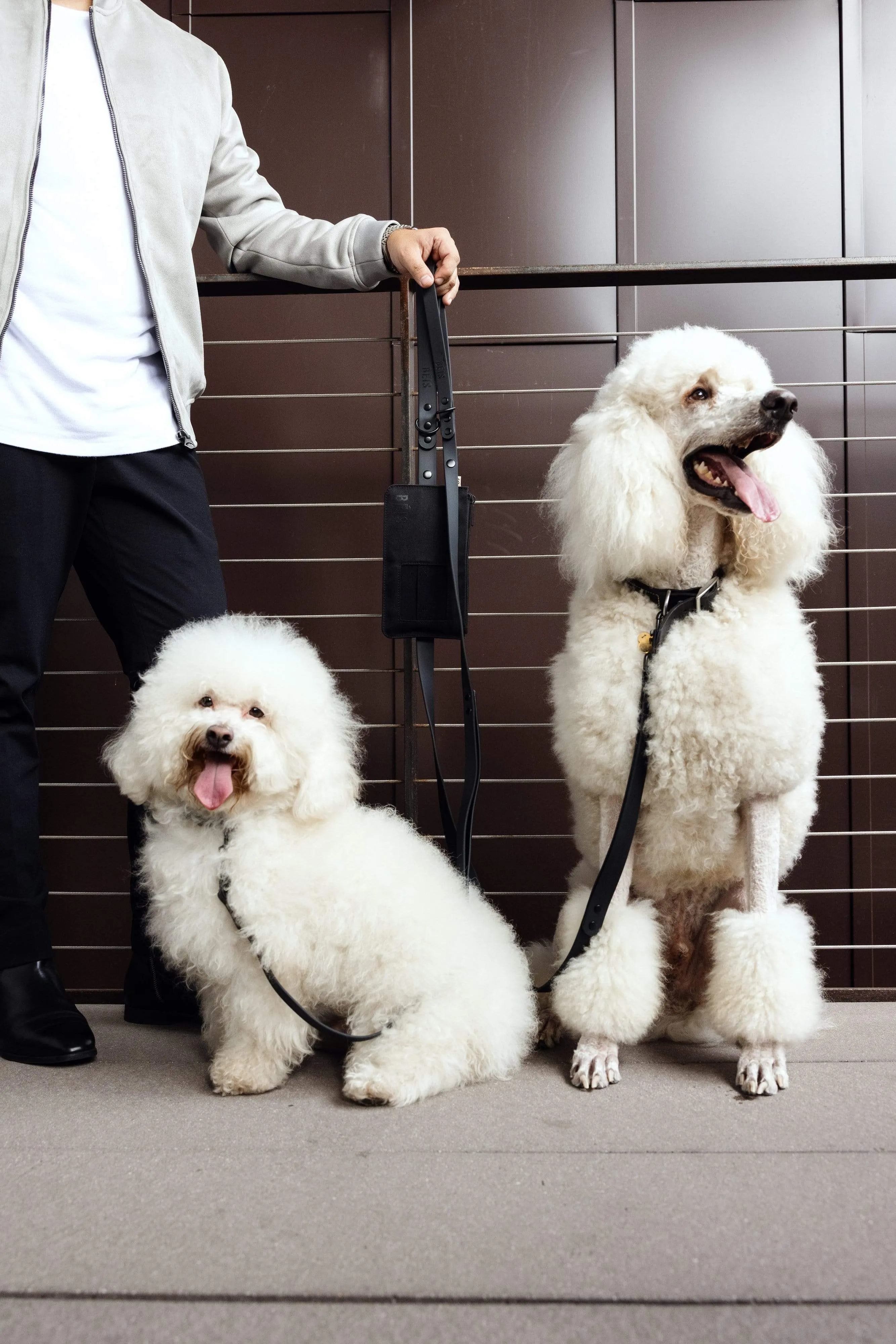 The Pet Leash in M/L
