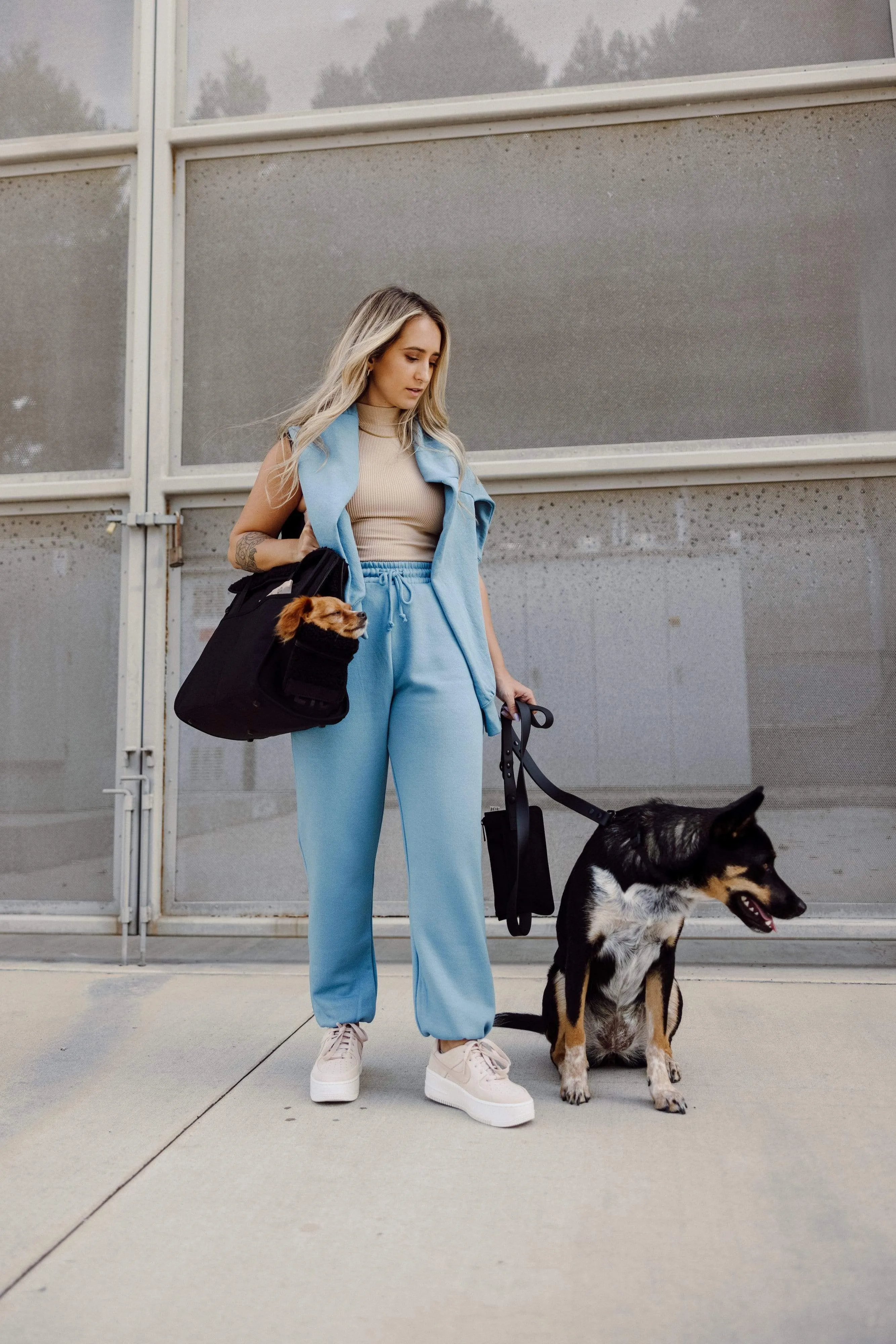 The Pet Leash in M/L