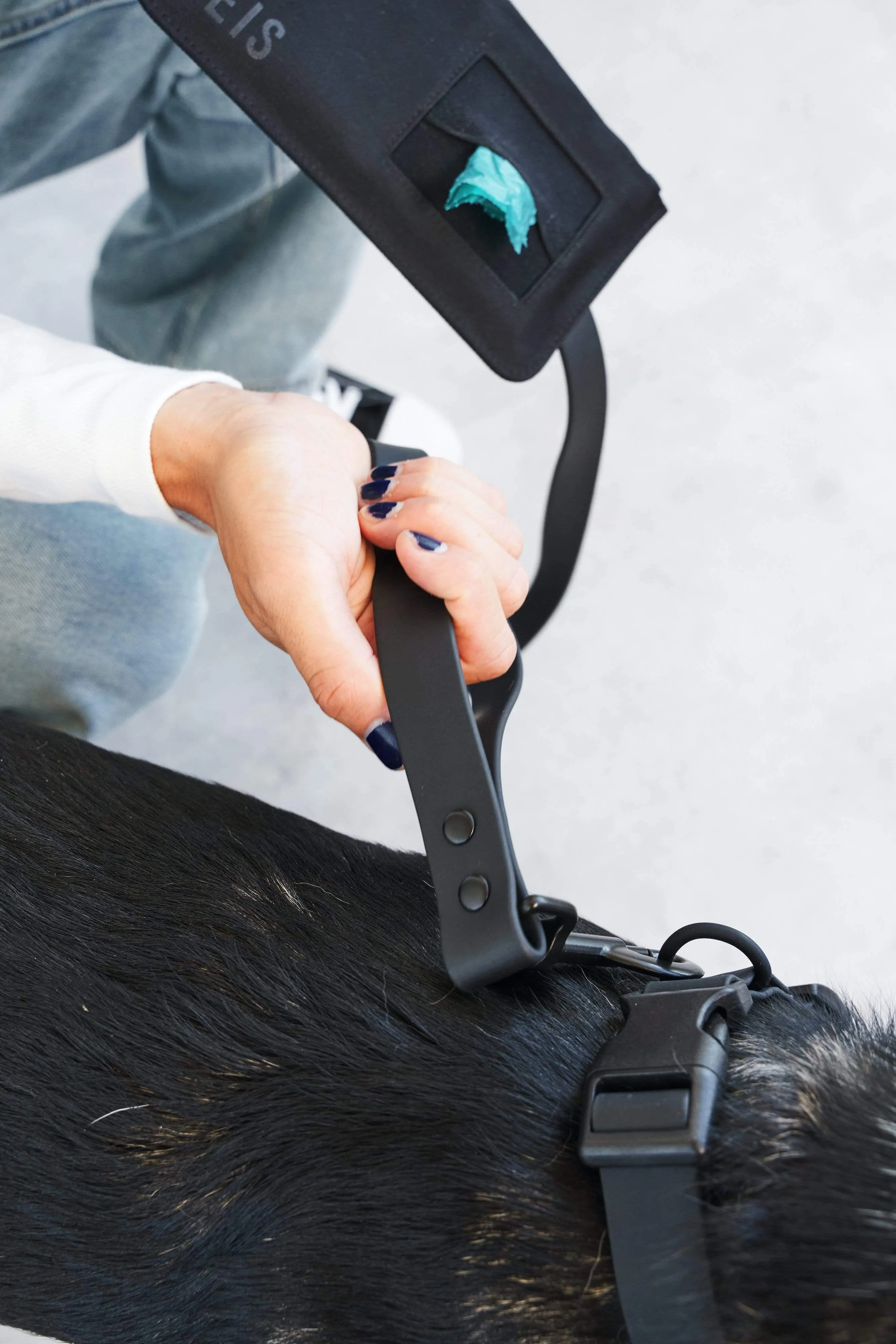 The Pet Leash in M/L